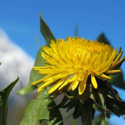 奥亚国际-登录入口