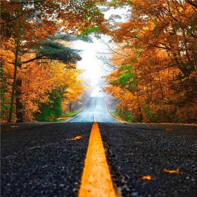 万博体育最新下载链接